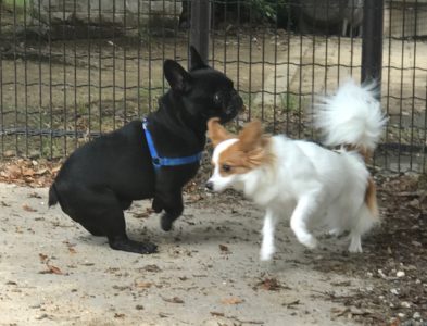 ななとだいごろうの写真