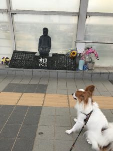 像の前で祈る愛犬